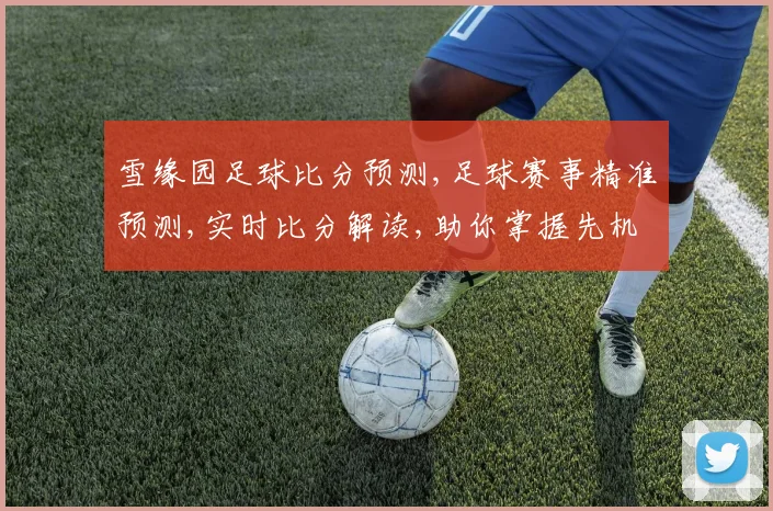 雪缘园足球比分预测,足球赛事精准预测,实时比分解读,助你掌握先机,一触即发