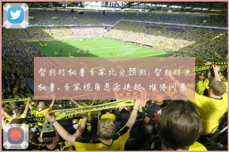 智利对秘鲁专家比分预测,智利对决秘鲁,专家视角悬念迭起,谁将问鼎